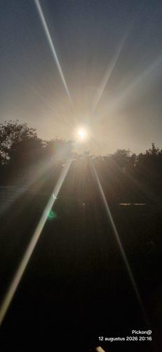 Bloemendaal (1)