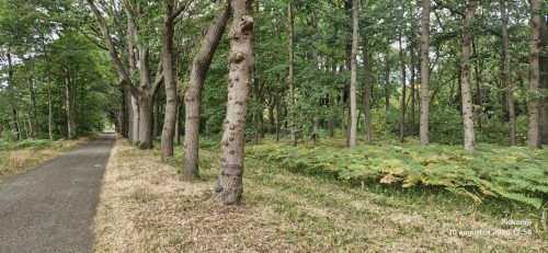 Bloemendaal (10)