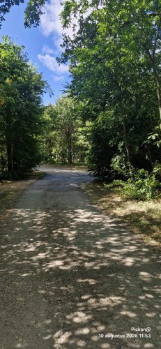 Bloemendaal (5)