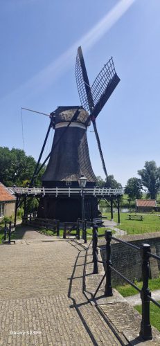 Eysingastate (15)