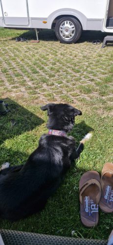 Luxemburg Camping Gritt