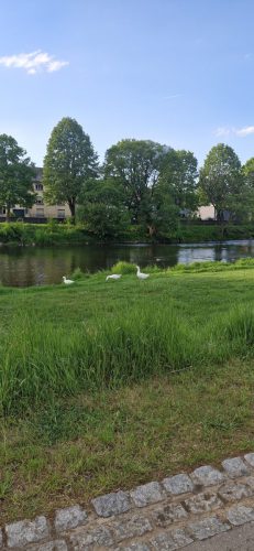 Luxemburg Camping Gritt
